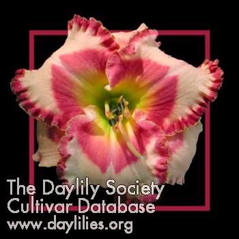 Valentine_Darling - Bell 2006